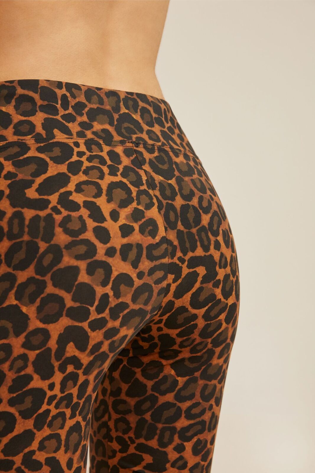 Fisch - recreation.io