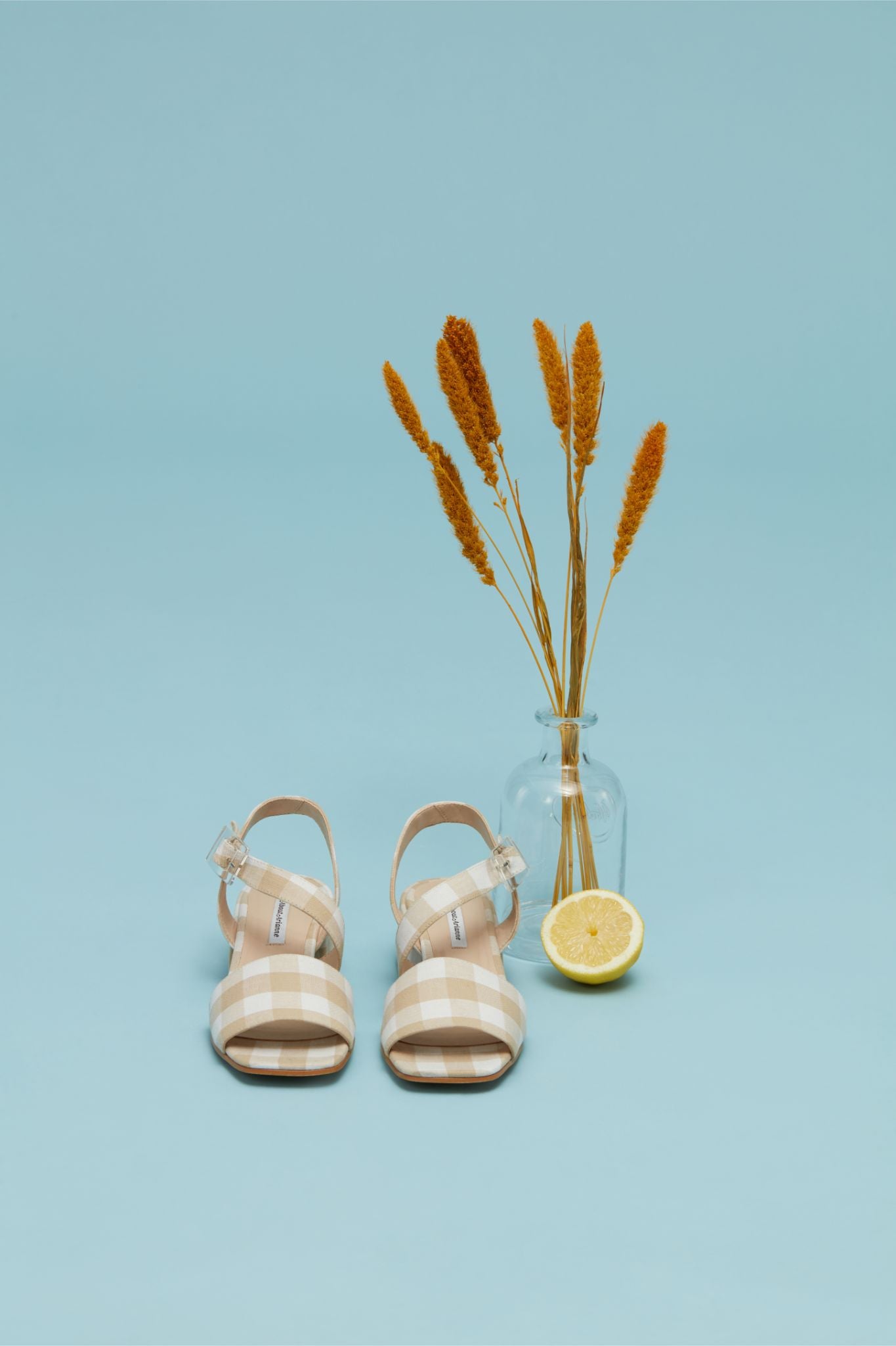 About Arianne - recreation.io