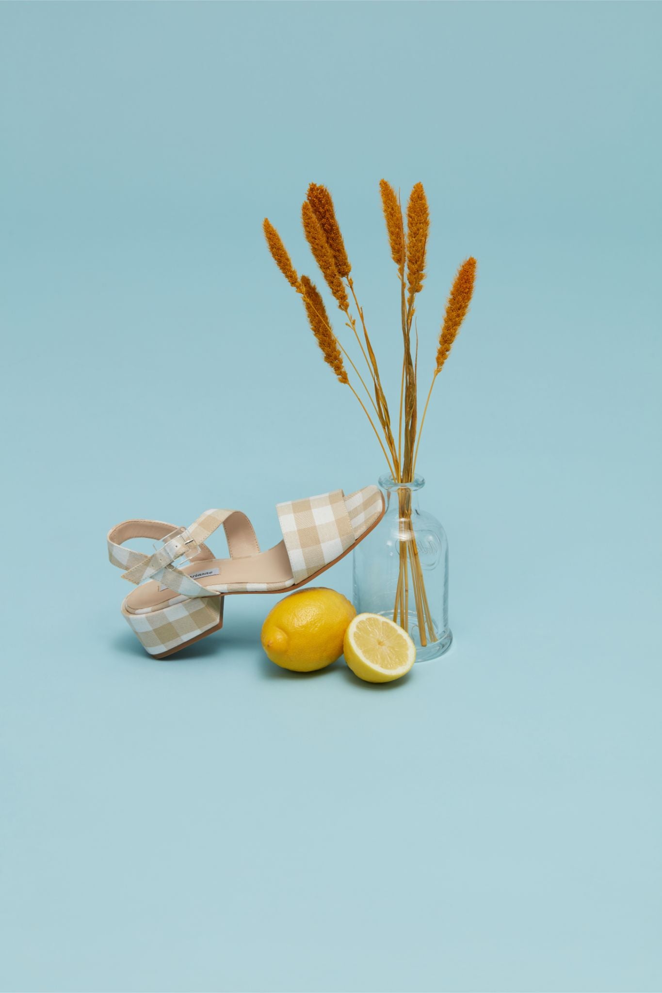 About Arianne - recreation.io