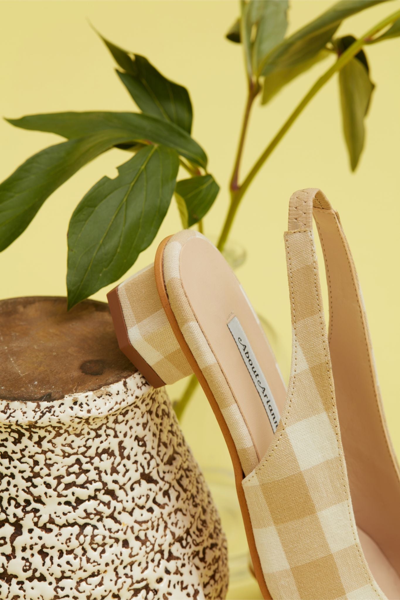 About Arianne - recreation.io